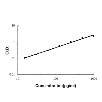 IL-22/IL22 Antibody
