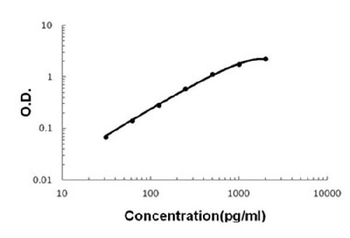 IL17F Rabbit Polyclonal Antibody