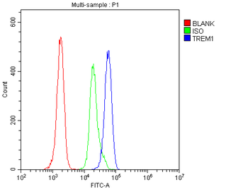 TREM1 Rabbit Polyclonal Antibody