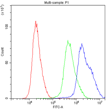 PPID Rabbit Polyclonal Antibody