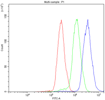 NFATC4 Rabbit Polyclonal Antibody