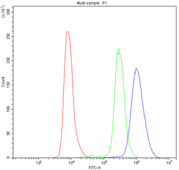 NFAT4/NFATC3 Rabbit Polyclonal Antibody