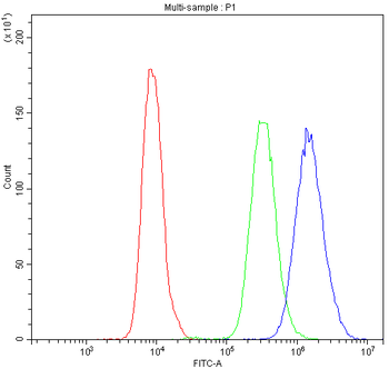 NFAT4/NFATC3 Rabbit Polyclonal Antibody