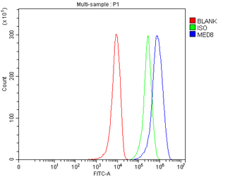 MED8 Rabbit Polyclonal Antibody