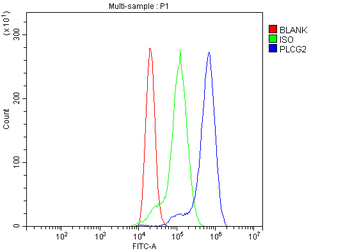 PLCG 2/PLCG2 Rabbit Polyclonal Antibody