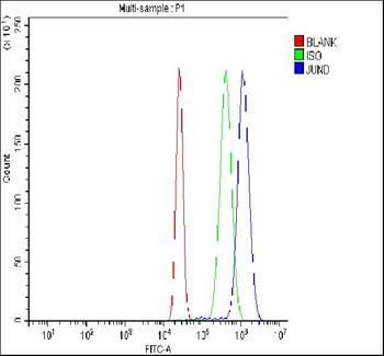 JunD Rabbit Polyclonal Antibody