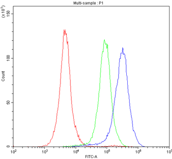 CD62P/Selp Rabbit Polyclonal Antibody