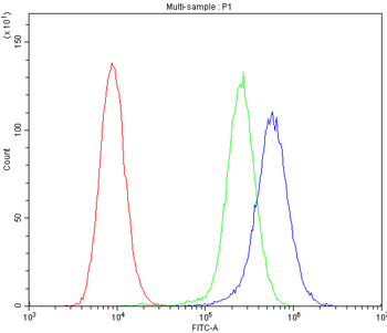 SPHK2 Rabbit Polyclonal Antibody
