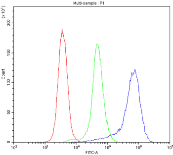 TLR1 Rabbit Polyclonal Antibody