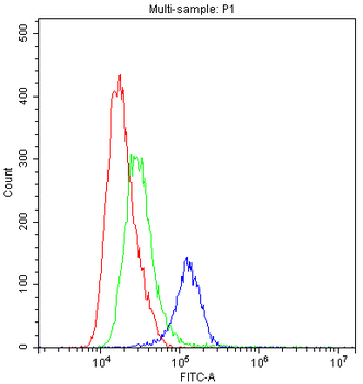 TLR1 Rabbit Polyclonal Antibody