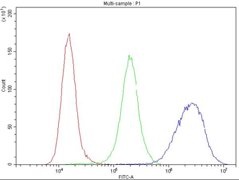 CCR3 Rabbit Polyclonal Antibody