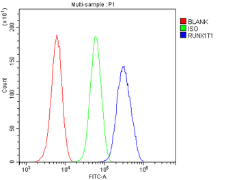 RUNX1T1/ETO Rabbit Polyclonal Antibody