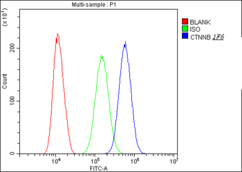 beta Catenin CTNNB1 Mouse Monoclonal Antibody