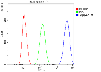 APE1 APEX1 Antibody (monoclonal, 5C11)