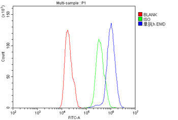 Emerin EMD Mouse Monoclonal Antibody