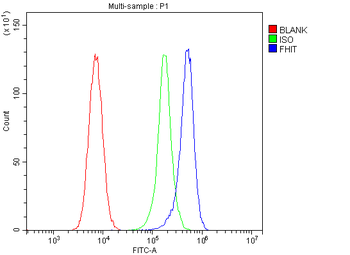 FHIT Mouse Monoclonal Antibody
