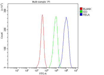 NF-kB p65/RELA/NF Rabbit Polyclonal Antibody