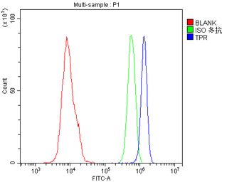 TPR Rabbit Polyclonal Antibody