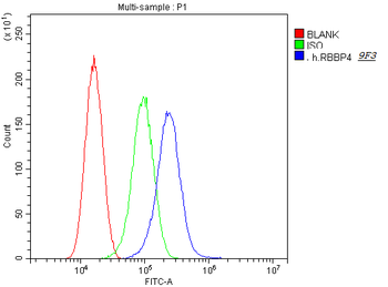 RbAp48 RBBP4 Antibody (monoclonal, 9F3)