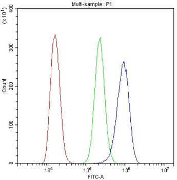 Cytochrome C CYCS Antibody (monoclonal, 15F10)