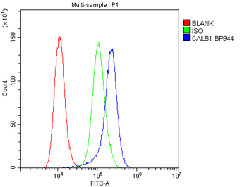 Calbindin/CALB1 Antibody