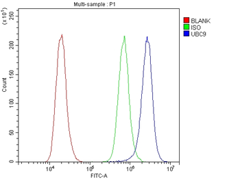 UBE2I UBC9 Antibody