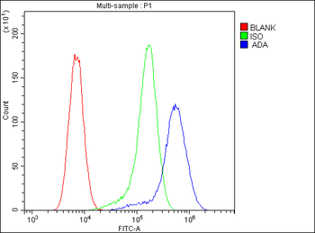 ADA Mouse Monoclonal Antibody
