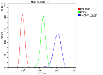 nmt55 p54nrb NONO Mouse Monoclonal Antibody