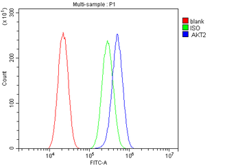 AKT2 Mouse Monoclonal Antibody