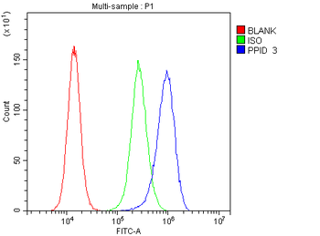 PPID Antibody (monoclonal, 5A6)