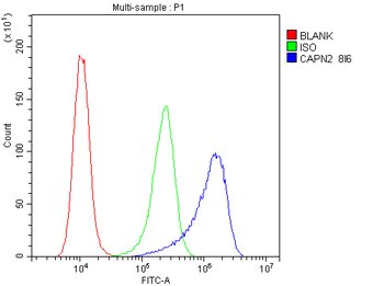 Calpain 2 CAPN2 Mouse Monoclonal Antibody