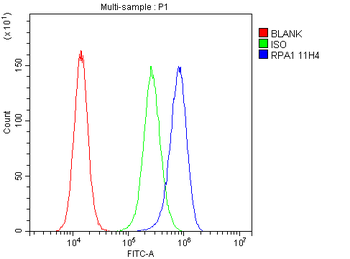 RPA70 RPA1 Mouse Monoclonal Antibody