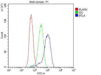 CD272/BTLA Rabbit Polyclonal Antibody