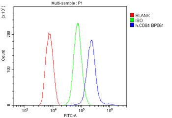 CD84 Rabbit Polyclonal Antibody