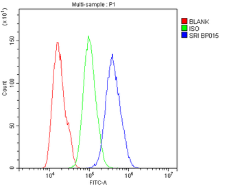 SRI Rabbit Polyclonal Antibody