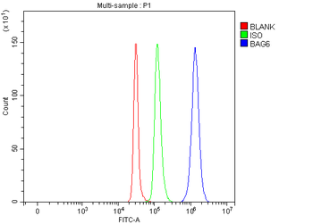 BAT3/BAG6 Antibody