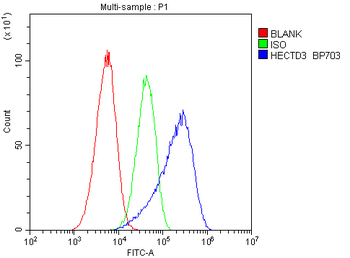 HECTD3 Rabbit Polyclonal Antibody
