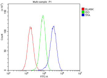 TPA Tissue Plasminogen Activator/PLAT Rabbit Polyclonal Antibody
