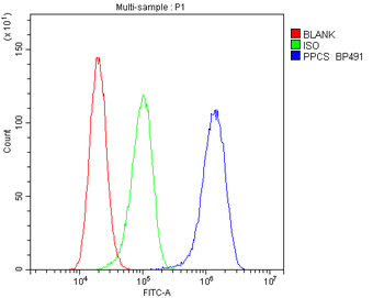 PPCS Rabbit Polyclonal Antibody