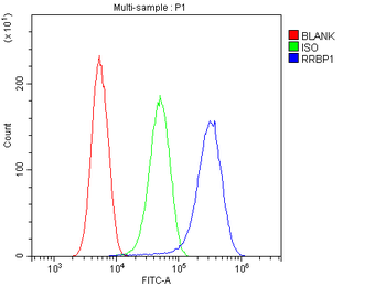 RRBP1 Rabbit Polyclonal Antibody