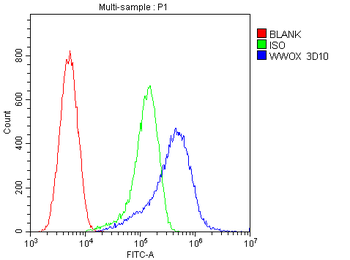 WWOX Mouse Monoclonal Antibody