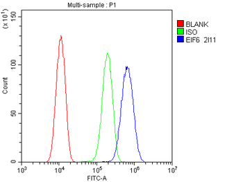 EIF6 Mouse Monoclonal Antibody