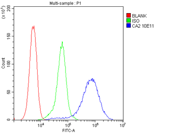 CA2 Mouse Monoclonal Antibody