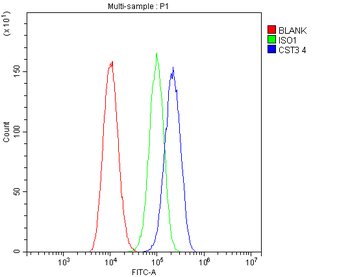 Cystatin C/CST3 Antibody (monoclonal, 4H8)