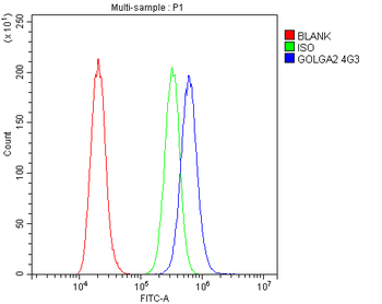 GM130 GOLGA2 Mouse Monoclonal Antibody