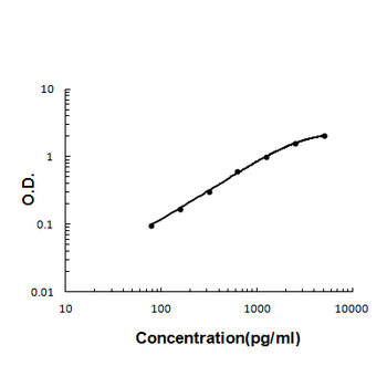 Lipocalin 2/LCN2 Antibody