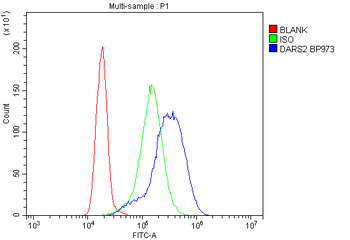 DARS2 Rabbit Polyclonal Antibody