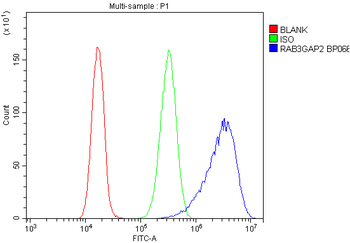 RAB3GAP2 Rabbit Polyclonal Antibody