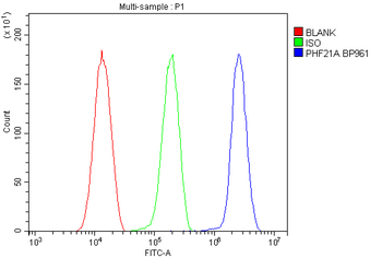 BHC80/PHF21A Antibody