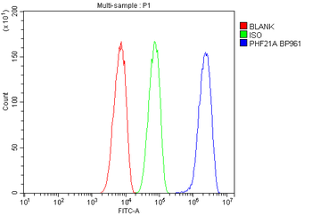 BHC80/PHF21A Antibody